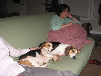 Amy and the Beagles2